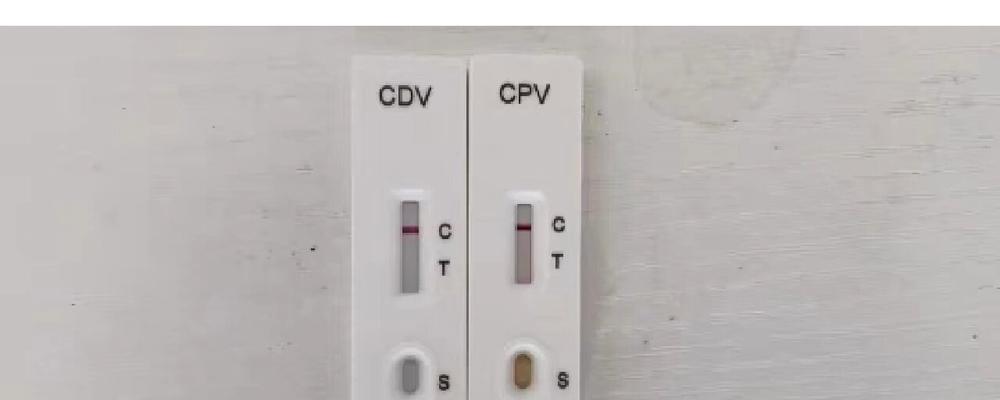 如何治疗狗狗犬瘟引起的腹泻?(药物治疗是关键,适当饮食也很重要)(图1) 如何治疗狗狗犬瘟引起的腹泻?(药物治疗是关键,适当饮食也很重要)(图1)