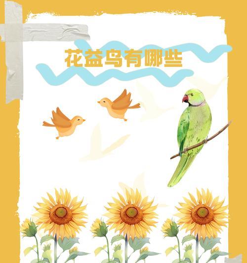 鸟类食物选择与适应策略全面解析，揭示生态奥秘 - 悠悠酷狗网