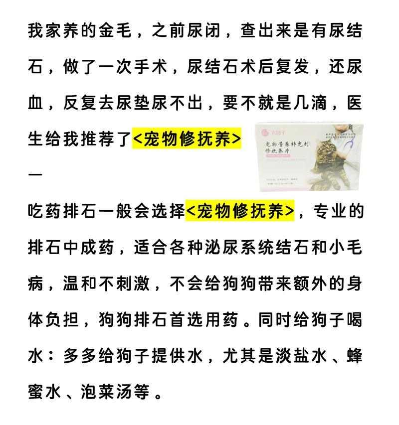 小狗尿血的常见原因与有效治疗方案详解 - 悠悠酷狗网
