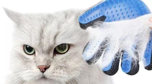 猫毛球成因与预防措施，保障猫咪健康的全面指南 - 悠悠酷狗网