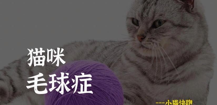 猫毛球成因与预防措施，保障猫咪健康的全面指南(图2)