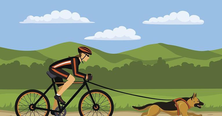 运动对狗的好处(促进健康和快乐的关键)(图2) 运动对狗的好处(促进健康和快乐的关键)(图2)