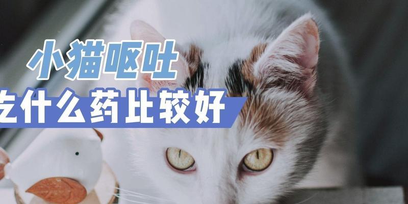 缓解猫嗓子不适的有效药物（舒缓猫嗓子不适的药物及使用方法）(图2)