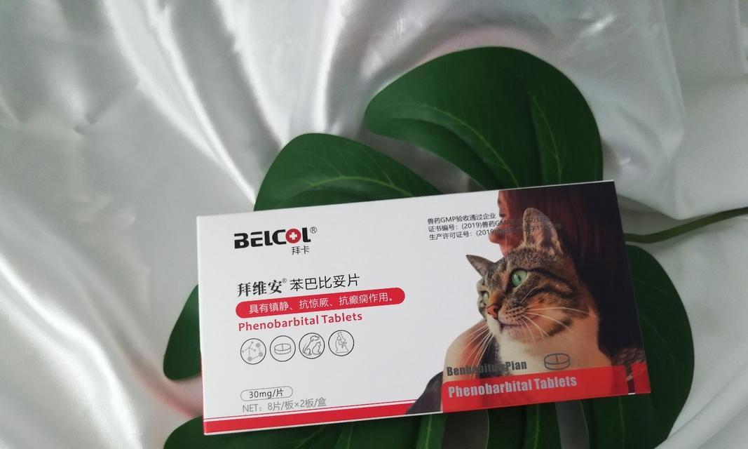 缓解猫嗓子不适的有效药物（舒缓猫嗓子不适的药物及使用方法） - 悠悠酷狗网