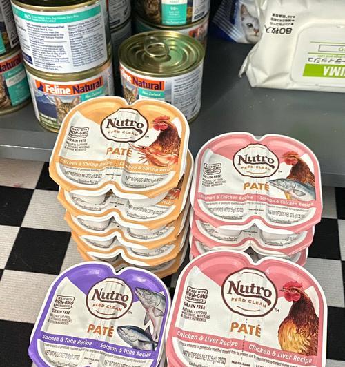 猫受伤后的饮食护理（为受伤猫提供适当的食物是关键）(图2)