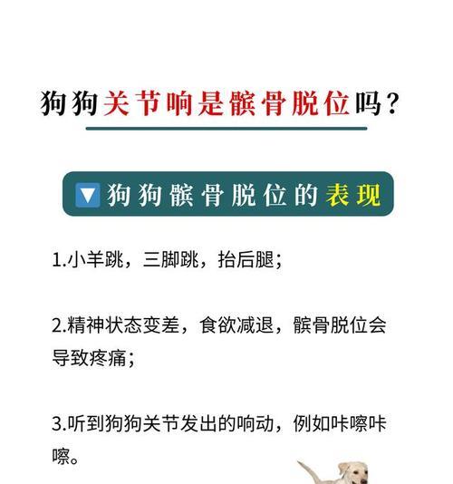 狗狗髌骨脱位的原因及治疗方法（了解狗狗髌骨脱位的常见原因和有效治疗方法）(图3)