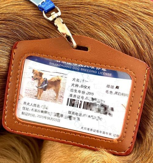 深圳办理狗证所需材料及步骤(办理狗证的流程详解,帮您轻松完成注册手续)(图2) 深圳办理狗证所需材料及步骤(办理狗证的流程详解,帮您轻松完成注册手续)(图2)