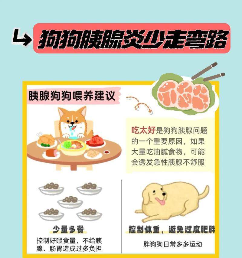 揭秘狗狗长不胖的原因(狗狗如何保持健康体重)(图3) 揭秘狗狗长不胖的原因(狗狗如何保持健康体重)(图3)