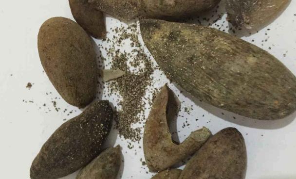 肚子长虫，你应该知道的症状（揭开肚子长虫症状的真相，了解）(图1)