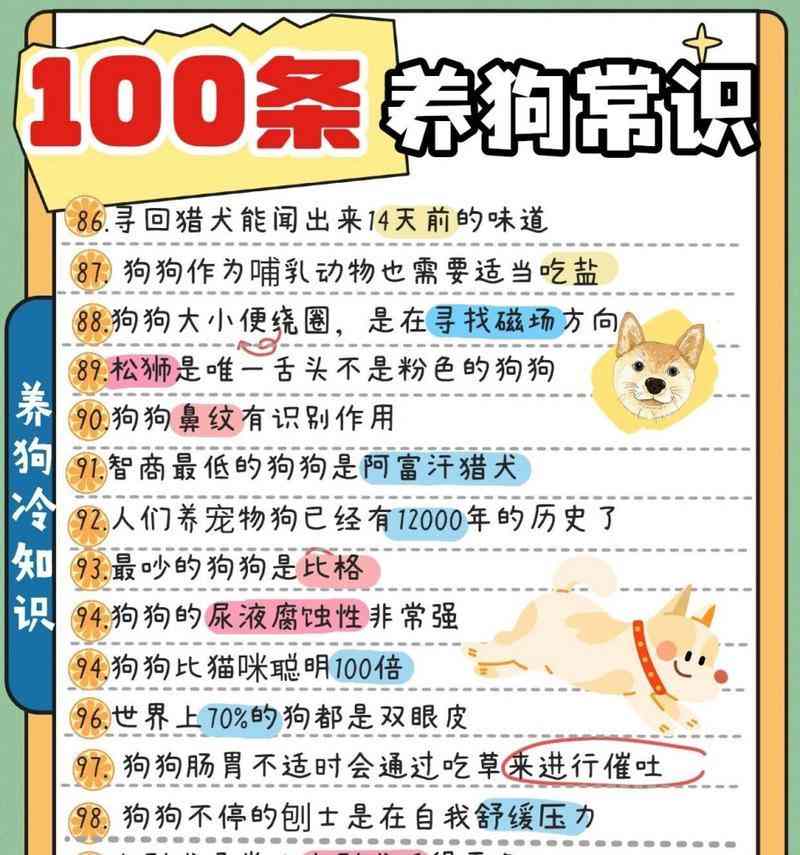 幼犬迎接新家的注意事项（如何让幼犬顺利适应新环境） - 悠悠酷狗网