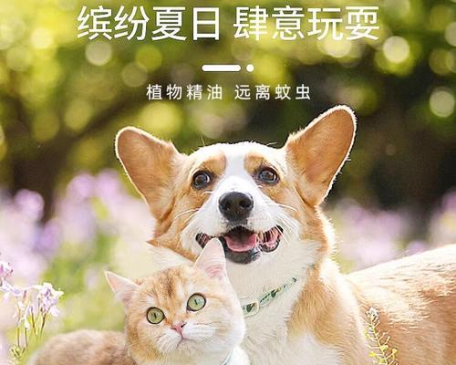 狗脖子发红了该用什么药治疗?(狗脖子发红原因、治疗方法和注意事项详解)(图2) 狗脖子发红了该用什么药治疗?(狗脖子发红原因、治疗方法和注意事项详解)(图2)