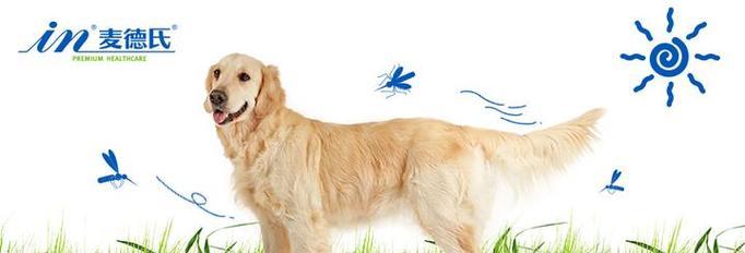 狗的散热机制与方法(探索狗如何通过哪些途径来进行散热)(图1) 狗的散热机制与方法(探索狗如何通过哪些途径来进行散热)(图1)