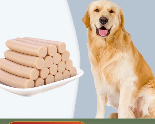 如何科学合理地给2个月金毛犬安排饮食？（金毛犬2个月时的饮食要点和注意事项）(图1)