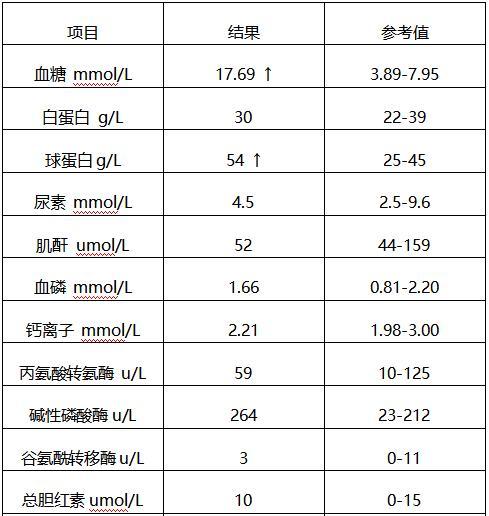 狗狗淀粉酶高的饮食选择（让你的爱犬吃得健康又营养，） - 悠悠酷狗网