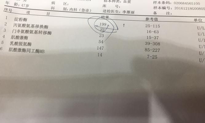 狗狗淀粉酶高的饮食选择（让你的爱犬吃得健康又营养，）(图3)