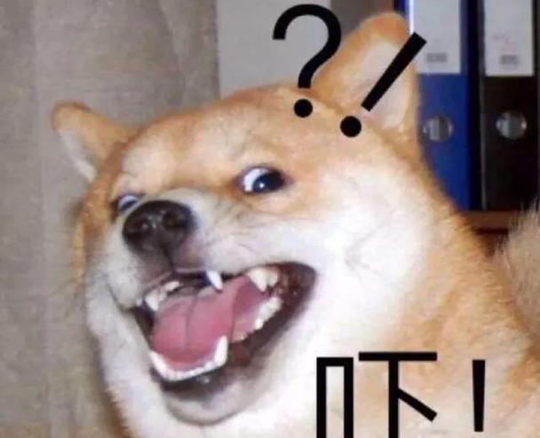 狗的最大恐惧——孤独感(探索狗对孤独感的深度恐惧以及如何帮助它们克服)(图1) 狗的最大恐惧——孤独感(探索狗对孤独感的深度恐惧以及如何帮助它们克服)(图1)