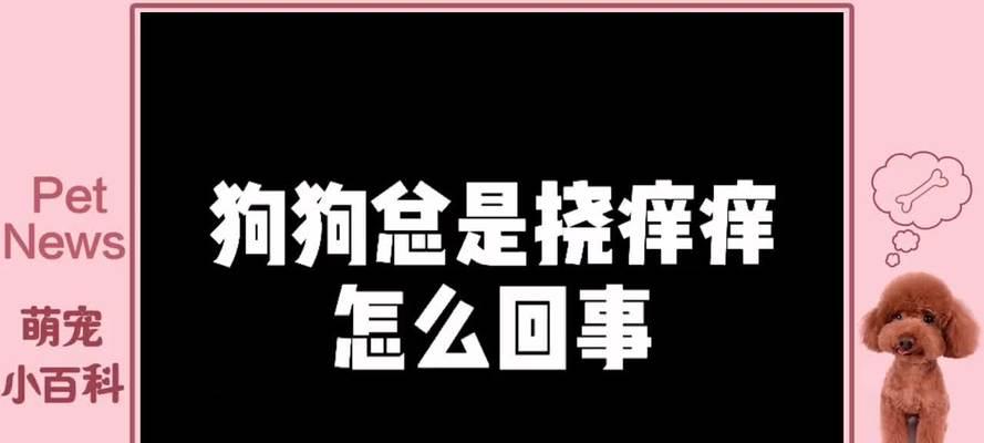 揭秘狗为什么喜欢挠嘴的原因(深入探究狗喜欢挠嘴的行为背后的奥秘)(图2) 揭秘狗为什么喜欢挠嘴的原因(深入探究狗喜欢挠嘴的行为背后的奥秘)(图2)