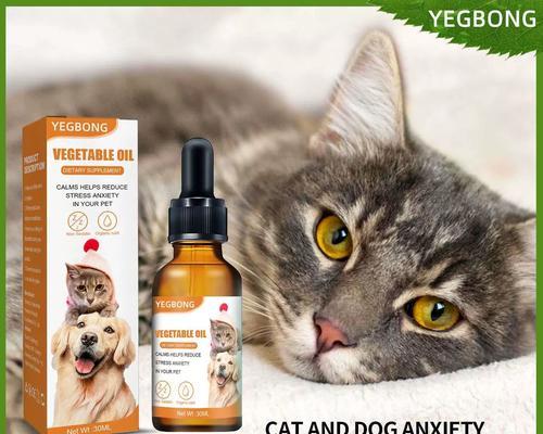 提高猫的体质,让它更健康(合理饮食对猫的身体发育至关重要)(图3) 提高猫的体质,让它更健康(合理饮食对猫的身体发育至关重要)(图3)