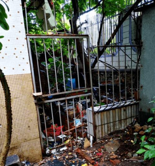 探寻珠海狗市场的魅力（深入了解珠海狗市场的地理位置及规模） - 悠悠酷狗网