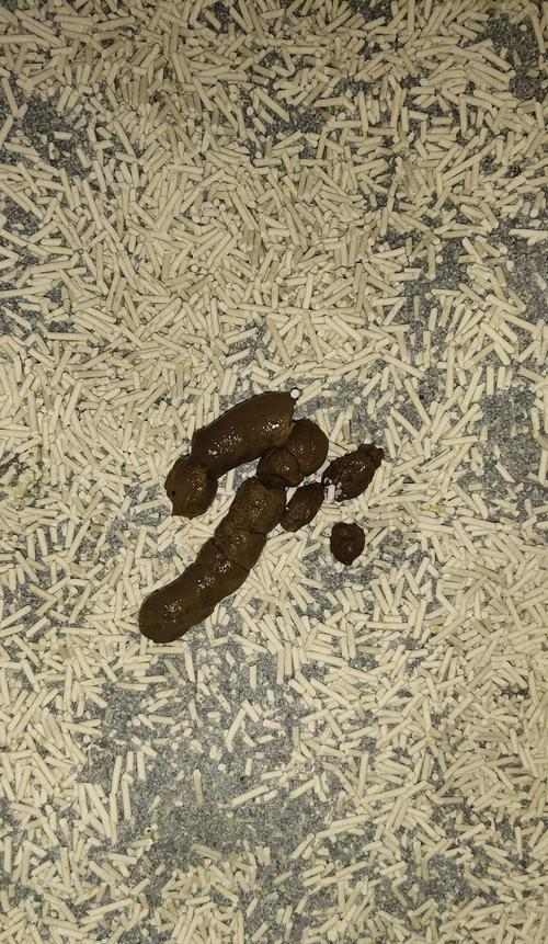 从坚硬到柔软(揭秘物体变形的原因及机制)(图2) 从坚硬到柔软(揭秘物体变形的原因及机制)(图2)