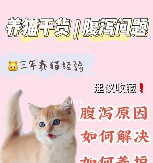 猫腹泻的饮食指南(如何正确喂养患有腹泻的猫咪)(图2) 猫腹泻的饮食指南(如何正确喂养患有腹泻的猫咪)(图2)