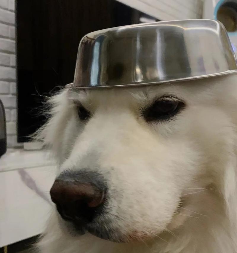 宝宝三个月可以吃什么?(为您解答孩子三个月的辅食问题)(图3) 宝宝三个月可以吃什么?(为您解答孩子三个月的辅食问题)(图3)