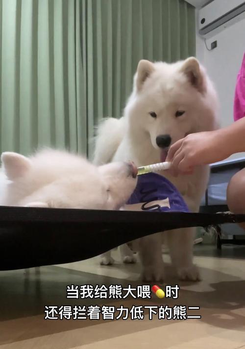 宝宝三个月可以吃什么?(为您解答孩子三个月的辅食问题)(图2) 宝宝三个月可以吃什么?(为您解答孩子三个月的辅食问题)(图2)