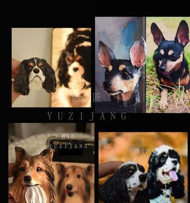 苏牧与喜乐蒂（探索性格、能力和背景的对比分析）(图2)