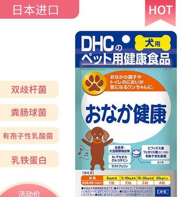 狗狗便秘怎么办？蔬菜来帮忙！（探讨狗狗便秘问题以及缓解便秘的营养蔬菜）(图2)