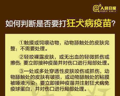 注射狂犬疫苗的注意事项（保护自己与他人，正确注射狂犬疫苗）(图3)