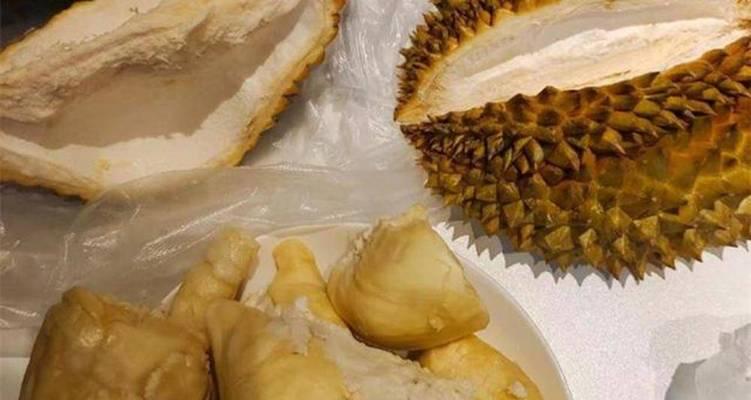 如何缓解狗狗反胃干呕？（以饮食调理和草药治疗为主要方法）(图3)