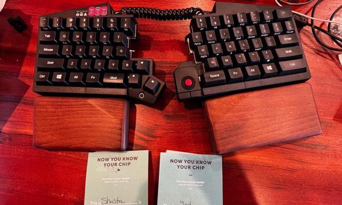 幼犬打芯片的必备证明与程序（保护宠物安全与健康的重要举措）(图3)