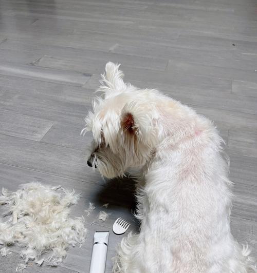 如何选择适合剃毛的时间（理发师告诉你最佳剃毛时间和方法）(图2)