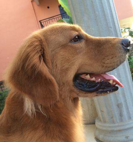 如何选择适合剃毛的时间（理发师告诉你最佳剃毛时间和方法）(图3)