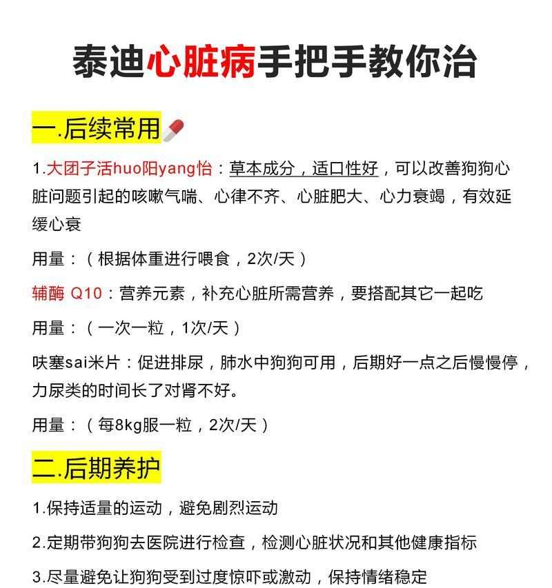 宠物泰迪七个月应该吃什么？（为您详细解析泰迪七个月的饮食需求）(图2)
