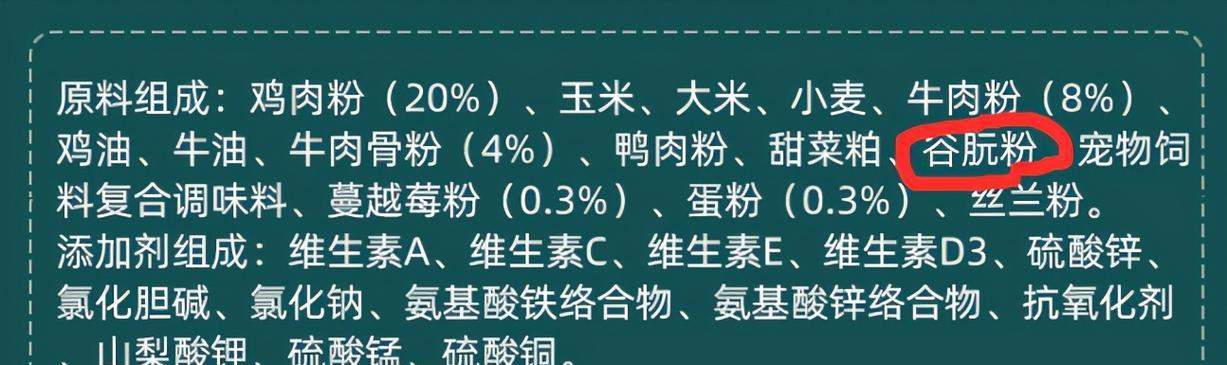 宠物泰迪七个月应该吃什么？（为您详细解析泰迪七个月的饮食需求）(图3)
