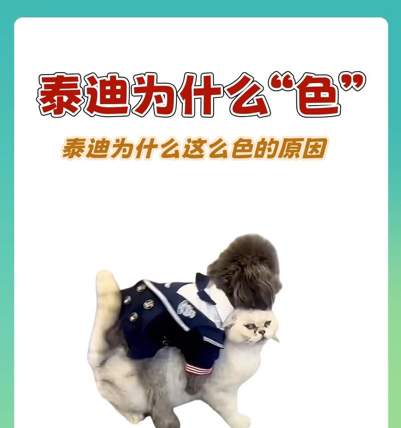 泰迪狗狗嘴巴臭的原因及解决方法（了解泰迪狗狗口臭的原因，让你的宠物口气清新如初）(图1)