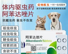 如何有效治疗狗身上起包的方法（探索最佳药物用于治疗狗身上起包的方式）(图2)