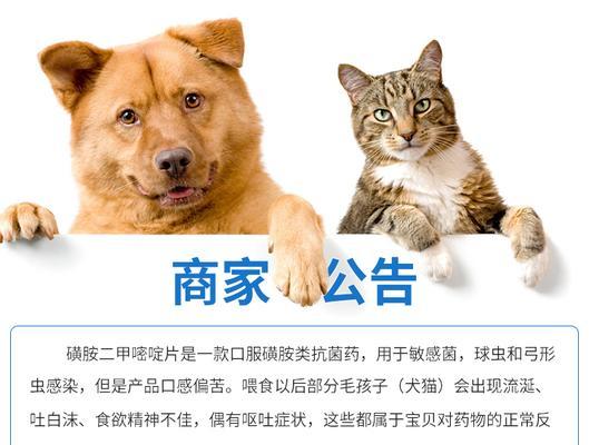 小狗感染弓形虫时，应该吃什么药？（详解小狗感染弓形虫后的药物治疗方案） - 悠悠酷狗网