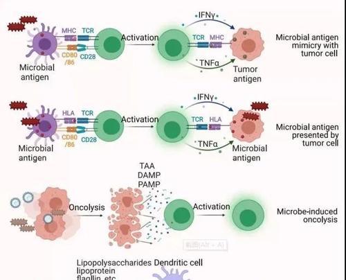 以麻佛微素,有效治疗关节疼痛的良方(以麻佛微素,拥抱舒适健康生活)(图3) 以麻佛微素,有效治疗关节疼痛的良方(以麻佛微素,拥抱舒适健康生活)(图3)
