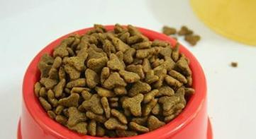 如何为你的金毛成犬提供最好的饮食？（全面了解金毛成犬的饮食需求，让你的宠物更健康快乐）(图2)