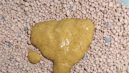 拉大便不成形的原因及处理方法（探讨拉大便不成形的病因和预防措施） - 悠悠酷狗网