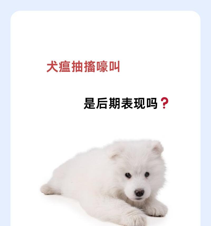 小狗患上狗瘟（揭开狗瘟带来的恶劣状态及防治方法）(图2)