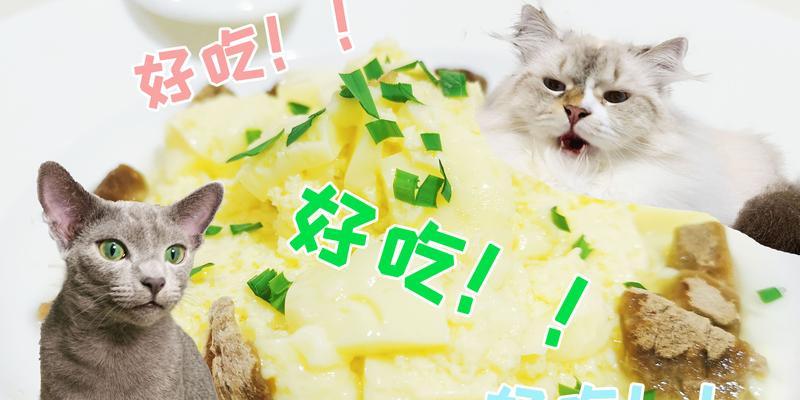 为什么以成犬吃奶糕不好？（探讨成犬摄入奶糕的潜在风险和影响） - 悠悠酷狗网