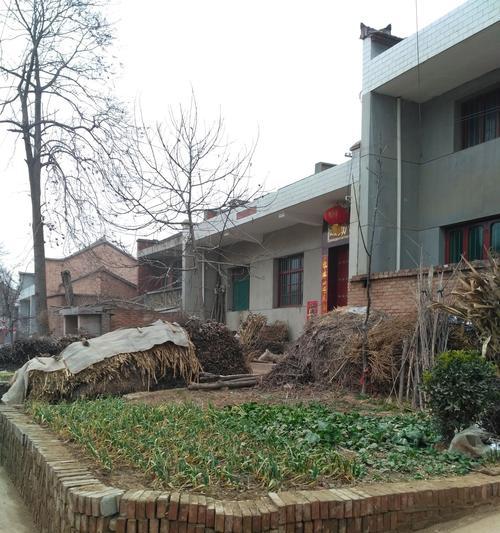 卫生间长草的意思及其解读（深入探究卫生间长草的现象及背后的含义）(图1)