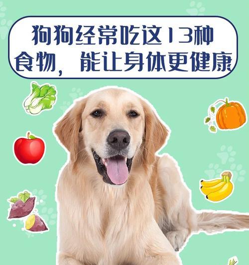 小狗的作用与益处(小狗作为宠物给人们带来的快乐和帮助)(图3) 小狗的作用与益处(小狗作为宠物给人们带来的快乐和帮助)(图3)