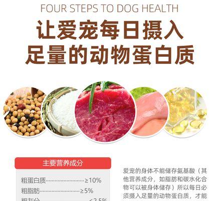 幼犬毛发保健的重要性(给你的幼犬提供绚丽光彩的外貌)(图1) 幼犬毛发保健的重要性(给你的幼犬提供绚丽光彩的外貌)(图1)