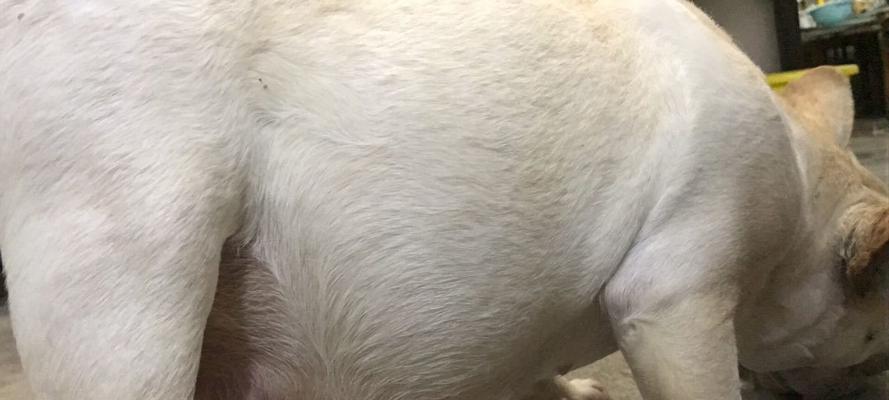 怀孕64天的症状及应对措施（了解怀孕初期的身体变化，做好孕期保健）(图2)