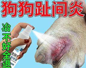 狗狗眼睛消肿的有效药物及方法（药物治疗与自然疗法，）(图3)