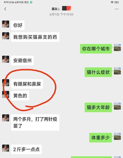 猫流眼屎的原因及应对方法（揭秘猫咪流眼屎的秘密，教你有效解决眼屎问题） - 悠悠酷狗网